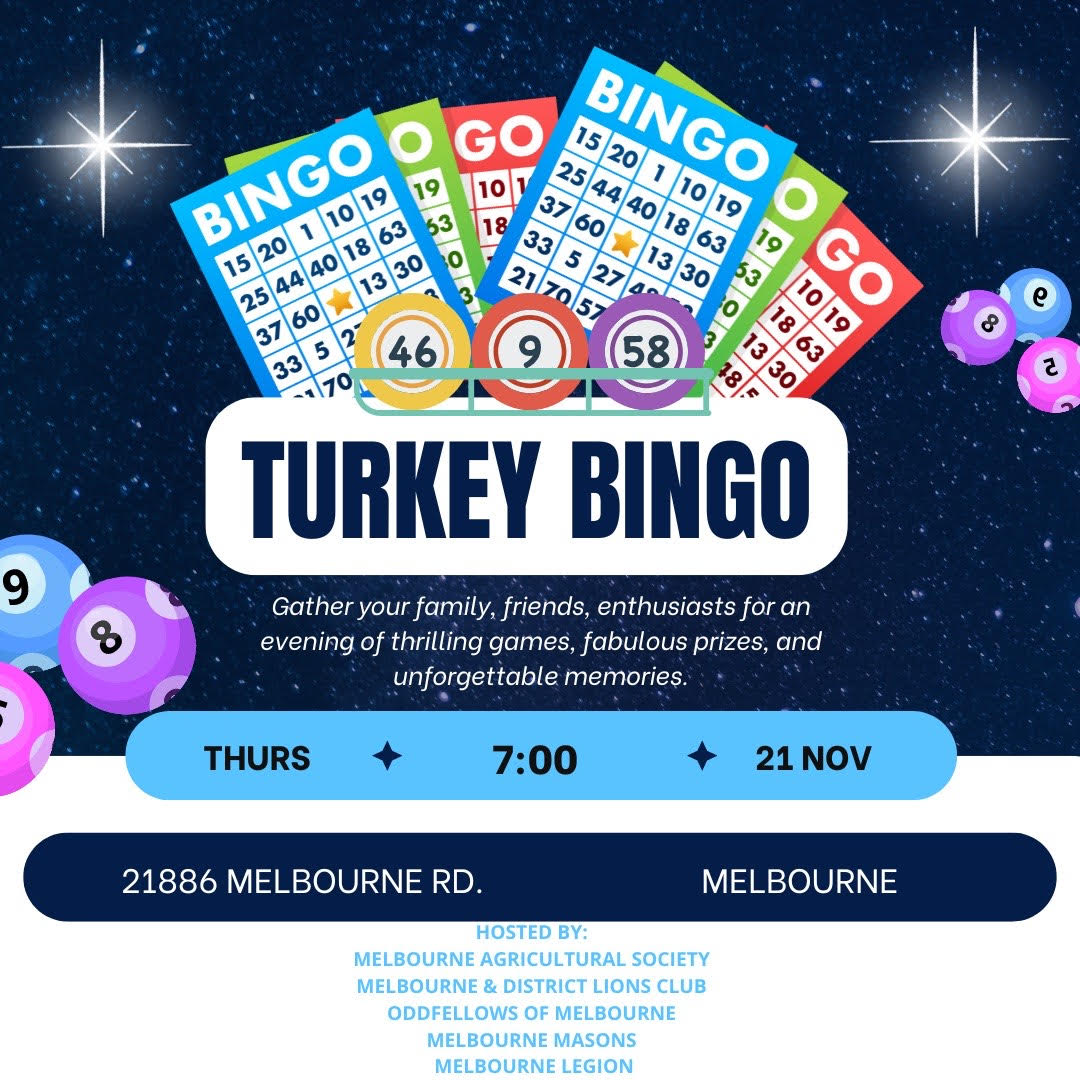 Turkey Bingo 2024